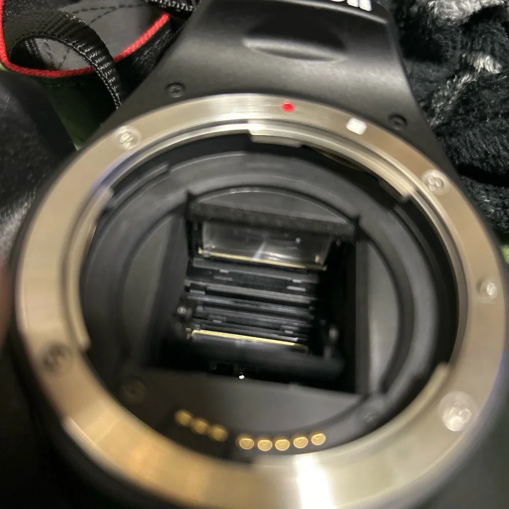 Canon sleek camera